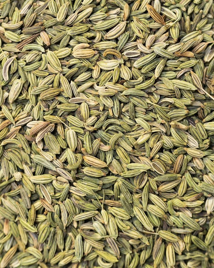 Premium Fennel Seeds (Saunf)